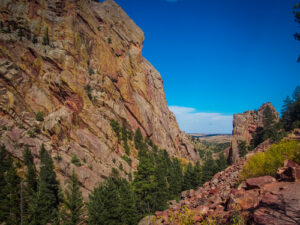 forest in rocky mountain at Cutarelli Vision
