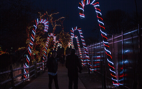 zoo lights at Denver zoo